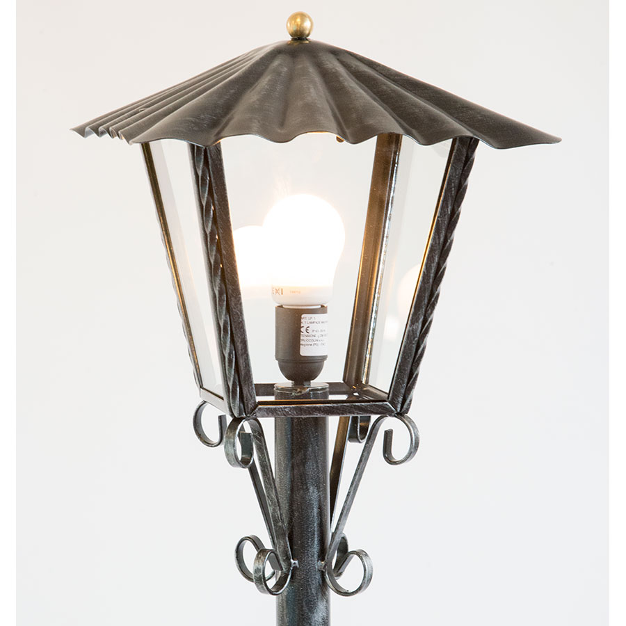 Giardino Verde Fertile Con Il Supporto Conico Del Ferro Battuto